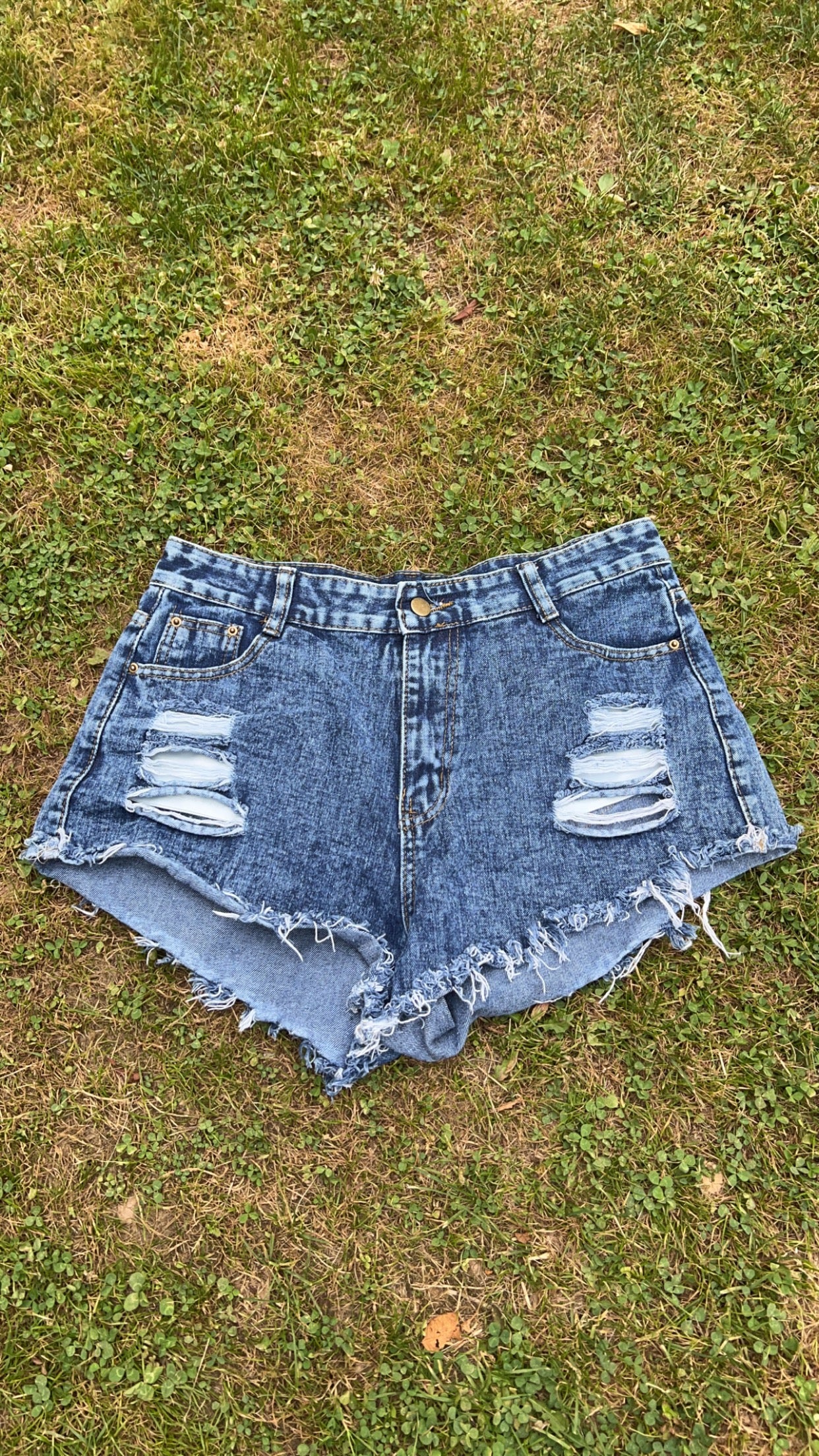 Shein Denim Shorts, Large