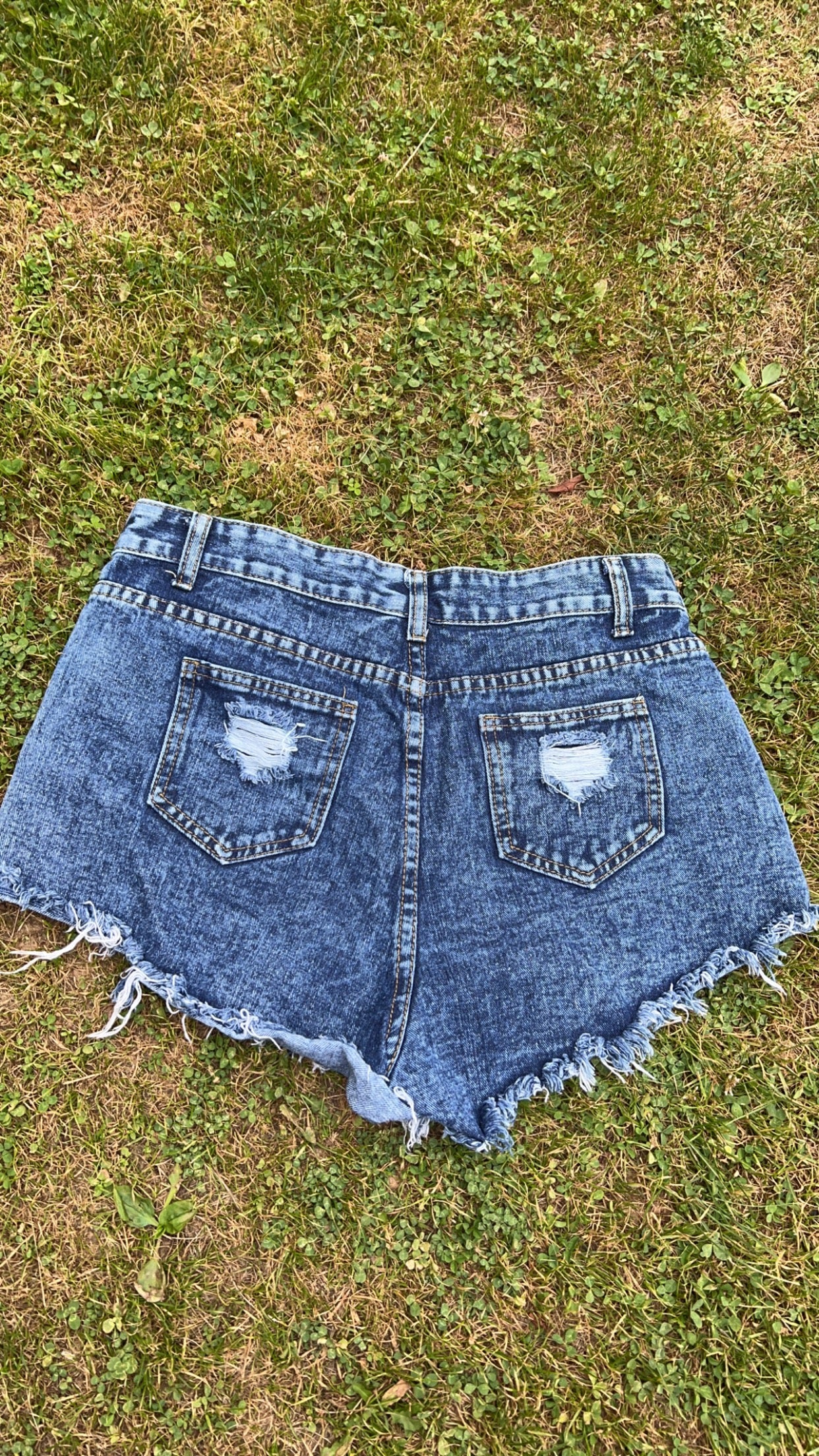 Shein Denim Shorts, Large